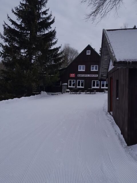 Zasněžená Havlova bouda mezi stromy